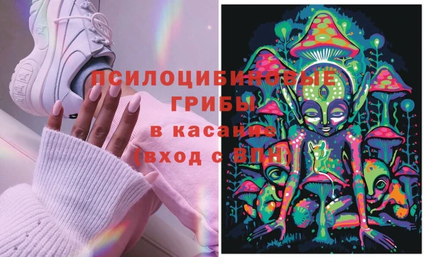 каннабис Алексеевка